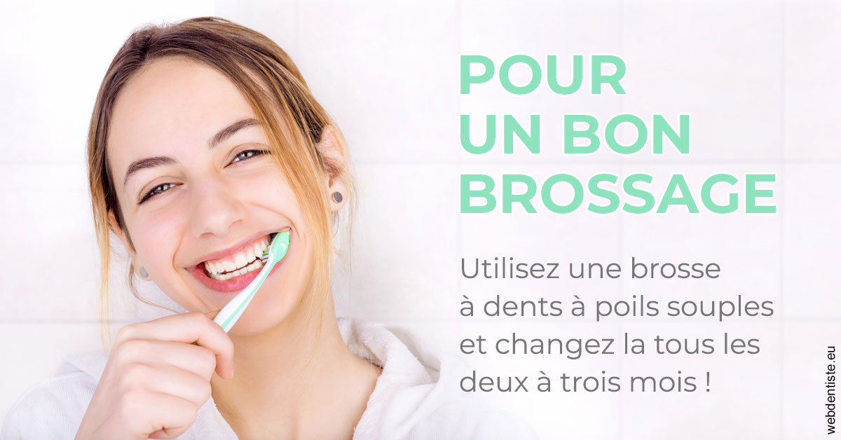 https://dr-bourdin-david.chirurgiens-dentistes.fr/Pour un bon brossage 2