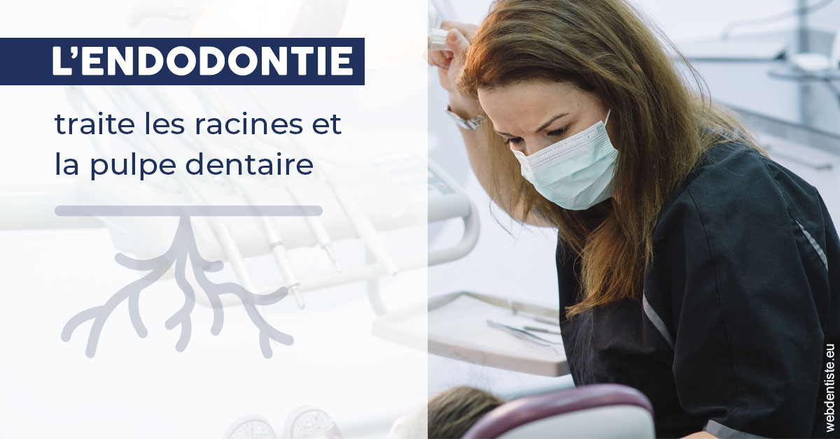 https://dr-bourdin-david.chirurgiens-dentistes.fr/L'endodontie 1