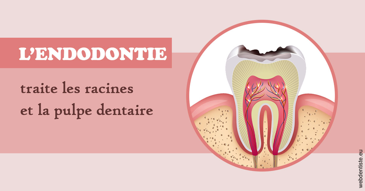 https://dr-bourdin-david.chirurgiens-dentistes.fr/L'endodontie 2