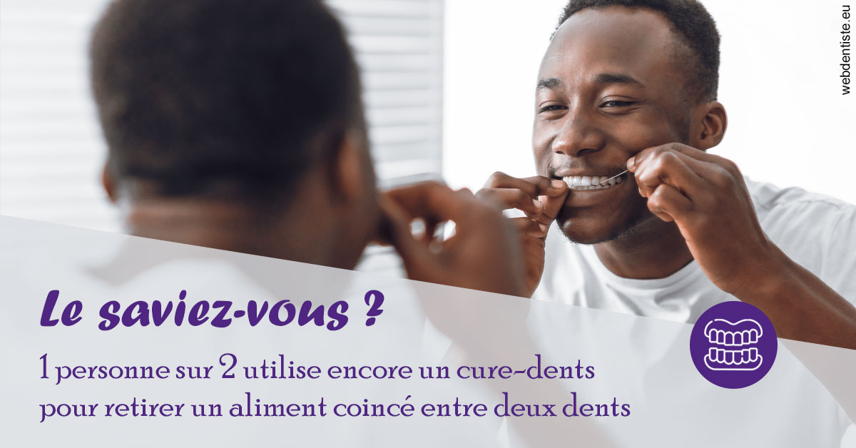 https://dr-bourdin-david.chirurgiens-dentistes.fr/Cure-dents 2