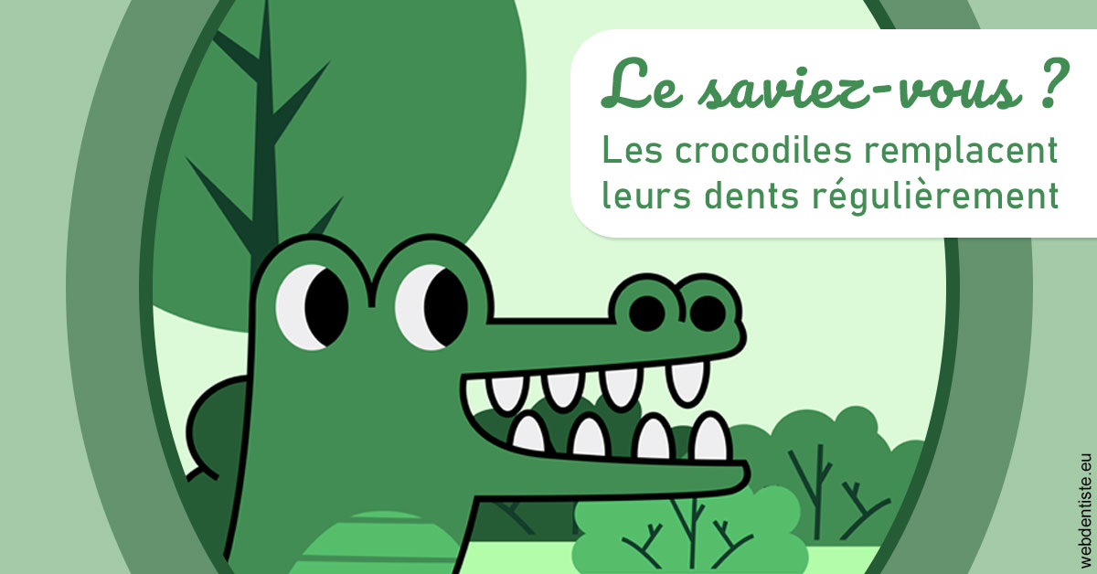 https://dr-bourdin-david.chirurgiens-dentistes.fr/Crocodiles 2