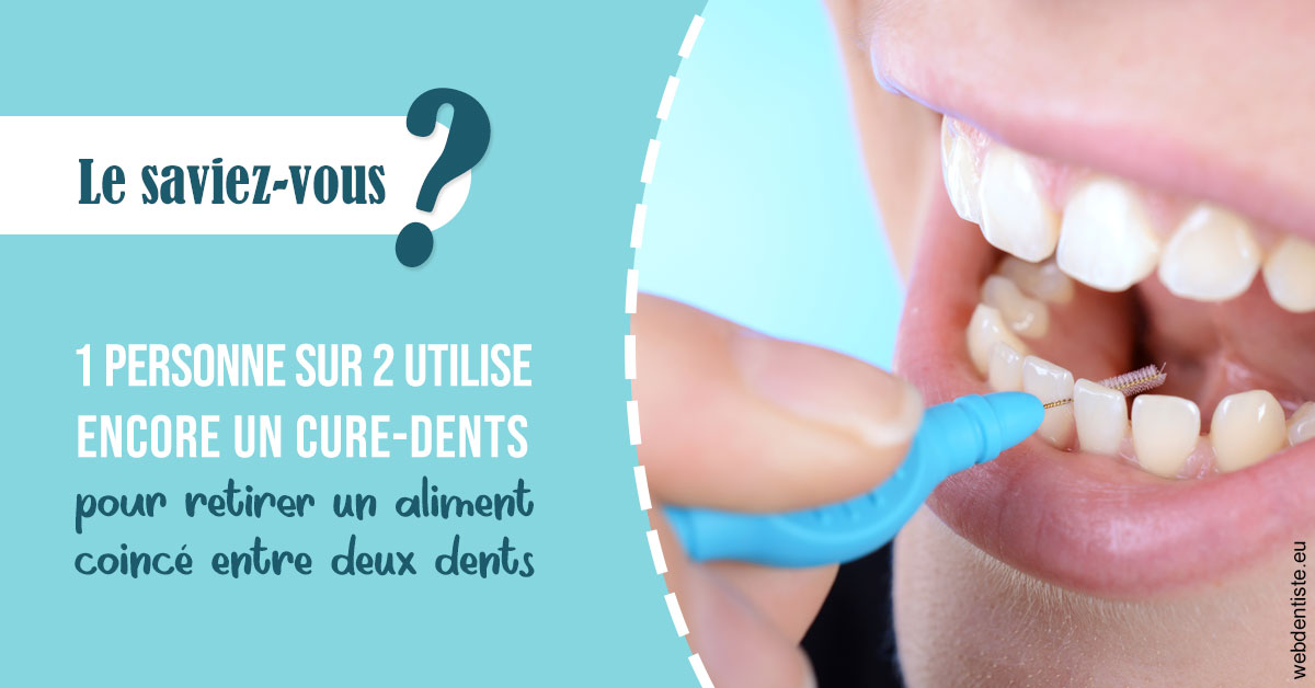 https://dr-bourdin-david.chirurgiens-dentistes.fr/Cure-dents 1