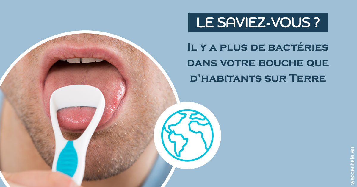 https://dr-bourdin-david.chirurgiens-dentistes.fr/Bactéries dans votre bouche 2