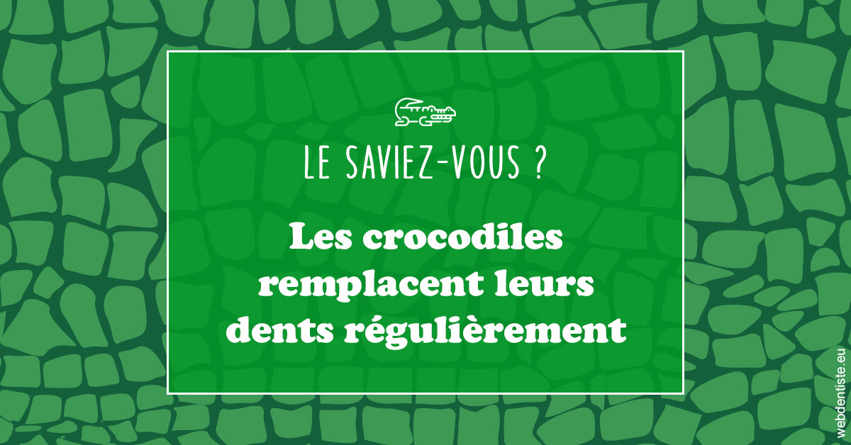https://dr-bourdin-david.chirurgiens-dentistes.fr/Crocodiles 1